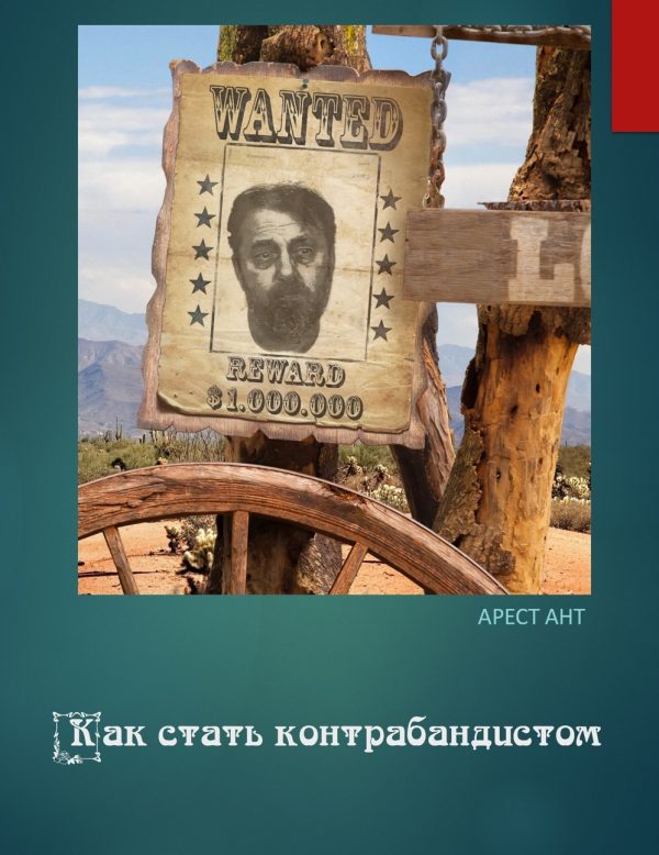 Обложка книги «Как стать контрабандистом»