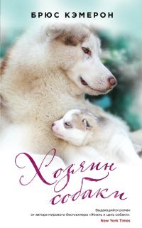 Обложка книги «Хозяин собаки»