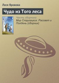 Обложка книги «Чудо из Того леса»