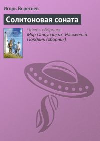 Обложка книги «Солитоновая соната»