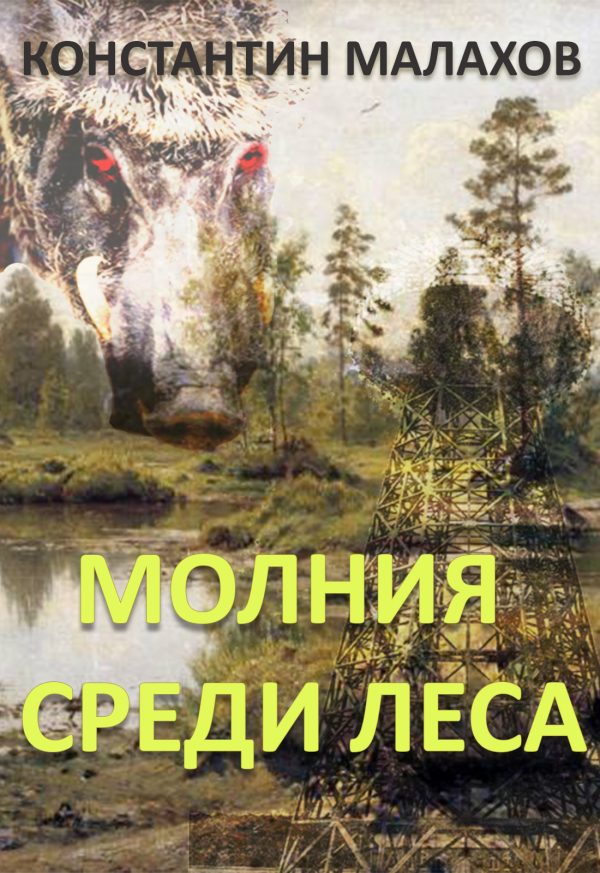 Обложка книги «Молния среди леса»