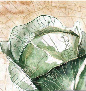 Обложка книги «Бабушкины щи»