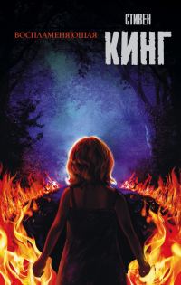 Обложка книги «Воспламеняющая»