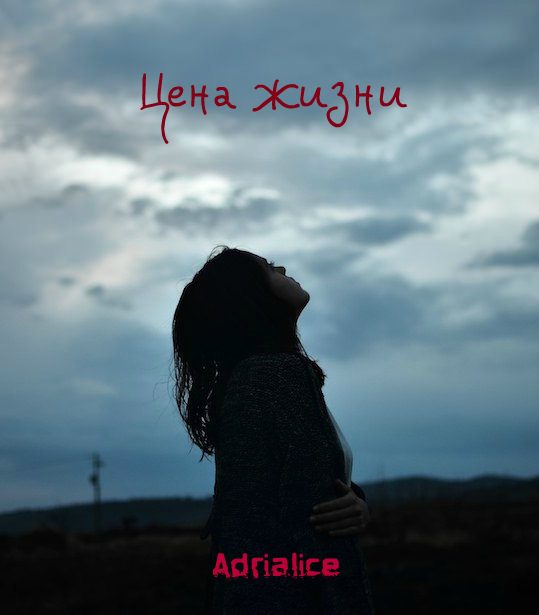 Обложка книги «Цена жизни»