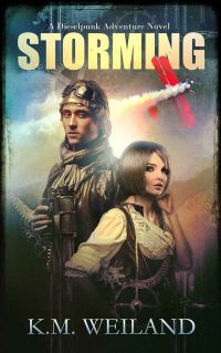 Обложка книги «Storming»
