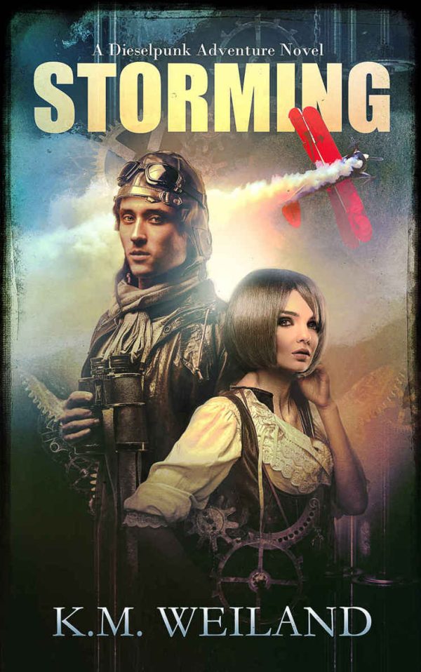 Обложка книги «Storming»