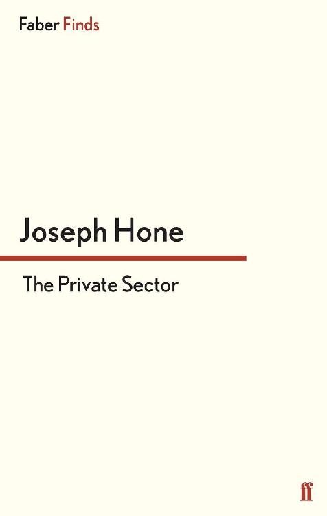 Обложка книги «The Private Sector»