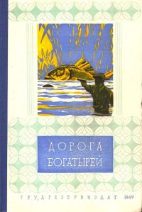 Обложка книги «Загадка ракеты «Игла-2»»
