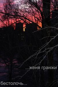 Обложка книги «Бестолочь»