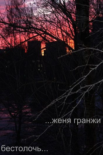 Обложка книги «Бестолочь»