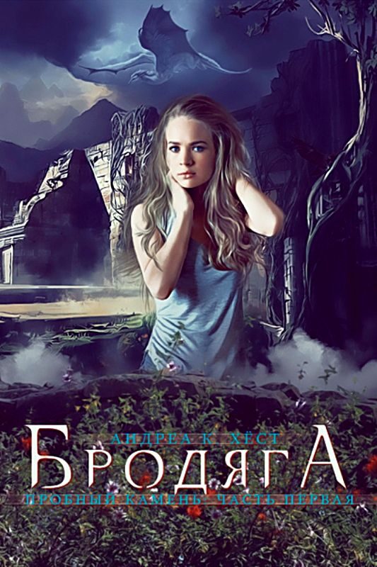 Обложка книги «Бродяга»