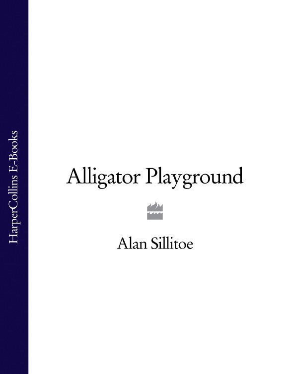 Обложка книги «Alligator Playground»