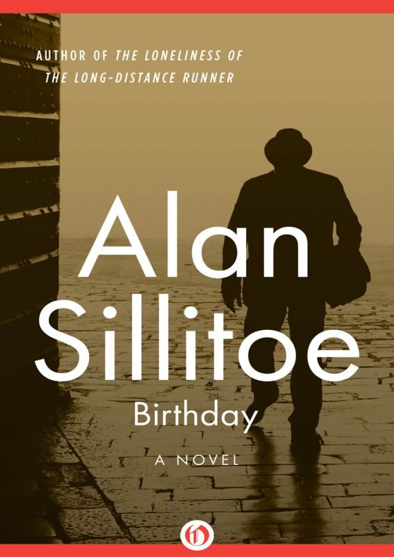 Обложка книги «Birthday»