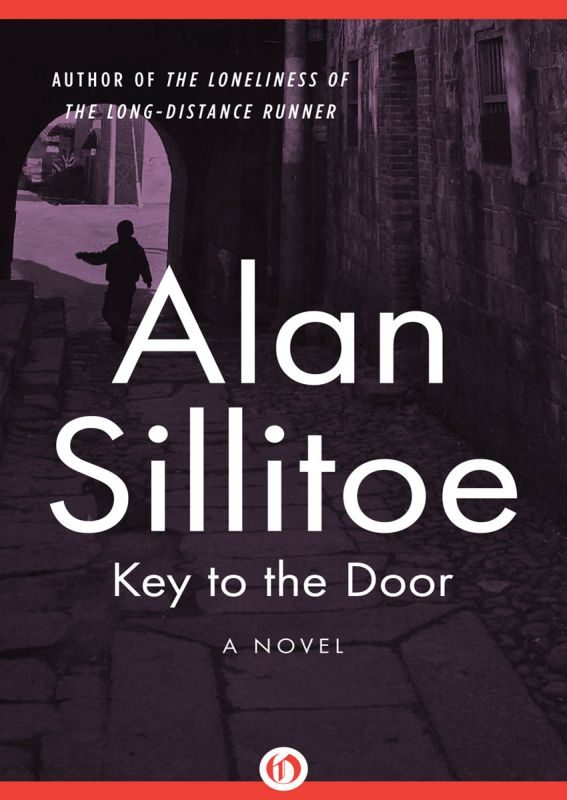 Обложка книги «Key to the Door»