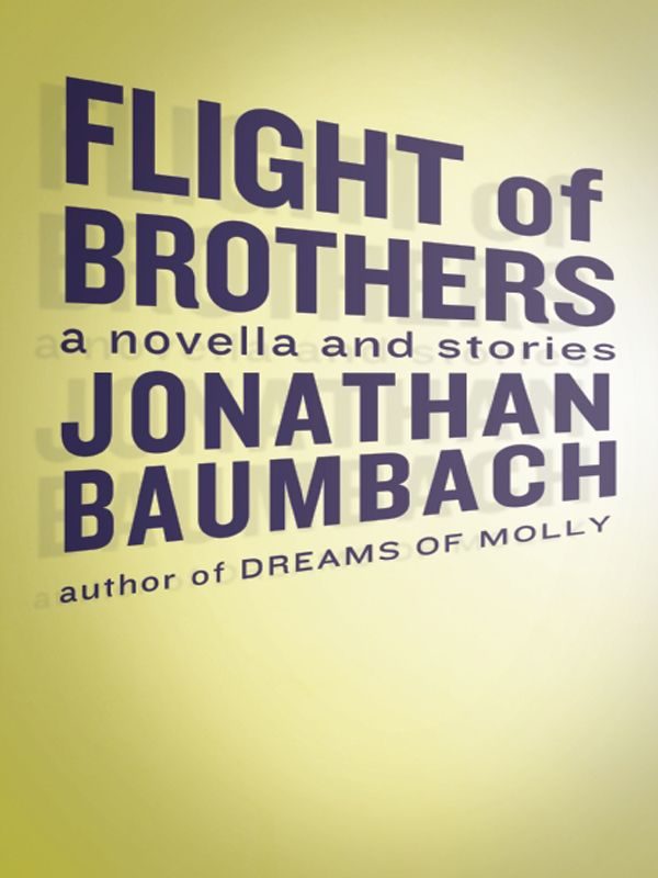 Обложка книги «Flight of Brothers»