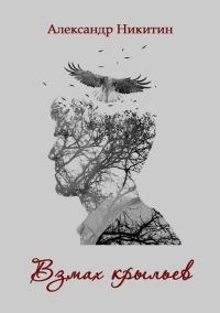 Обложка книги «Взмах крыльев»