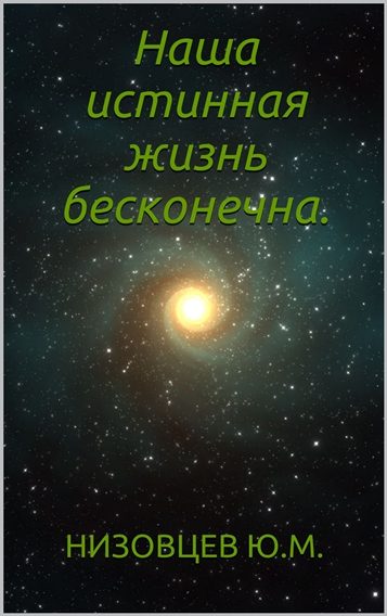 Обложка книги «Наша истинная жизнь бесконечна»