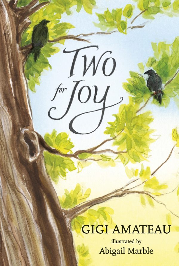 Обложка книги «Two for Joy»