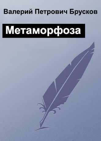 Обложка книги «Метаморфоза»