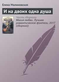 Обложка книги «И на двоих одна душа»
