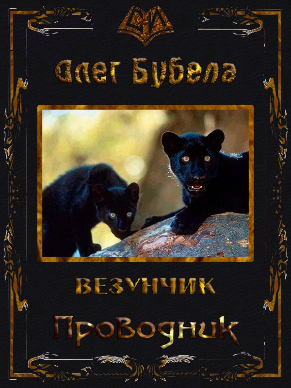 Обложка книги «Проводник»
