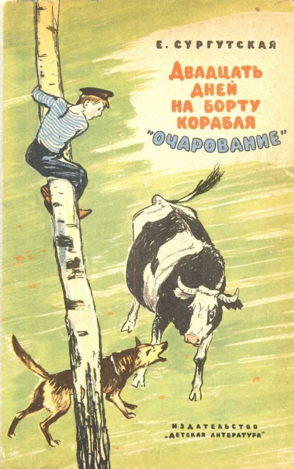 Обложка книги «Двадцать дней на борту корабля "Очарование"»