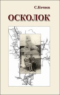 Обложка книги «Осколок»