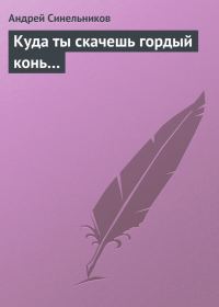 Обложка книги «Куда ты скачешь гордый конь…»