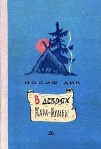 Обложка книги «В дебрях Кара-Бумбы»