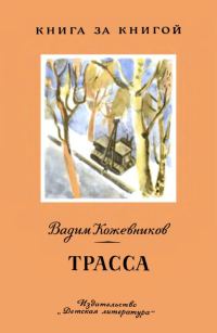 Обложка книги «Трасса»