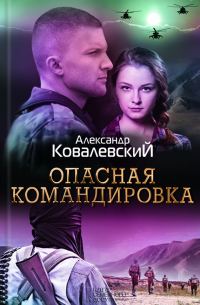 Обложка книги «Опасная командировка»