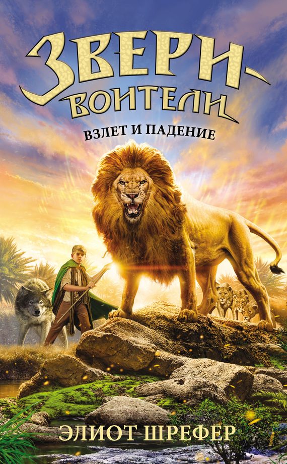 Обложка книги «Взлет и падение»