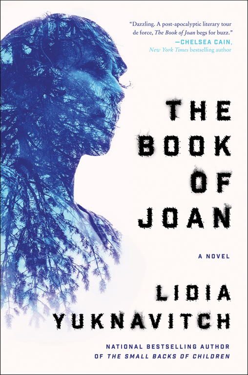 Обложка книги «The Book of Joan»