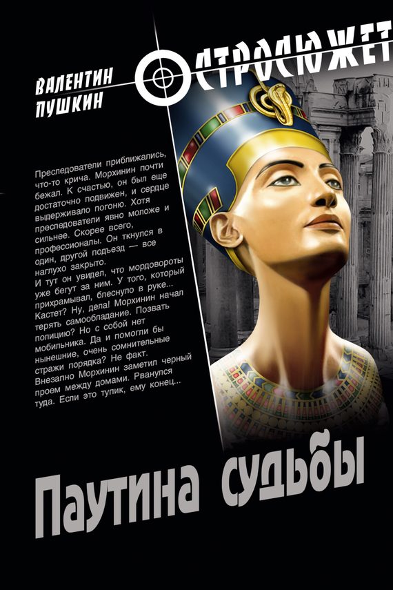 Обложка книги «Паутина судьбы»