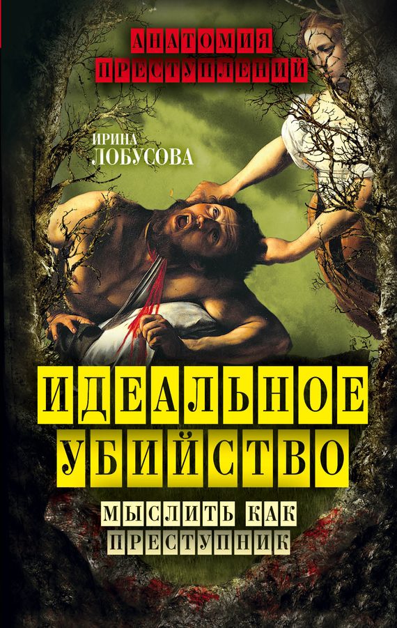 Обложка книги «Идеальное убийство. Мыслить как преступник»