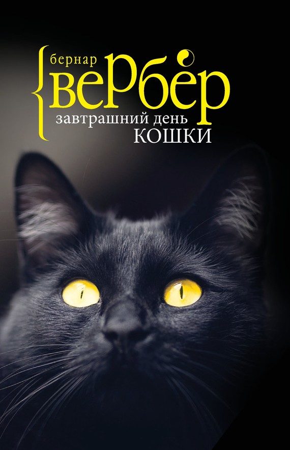 Обложка книги «Завтрашний день кошки»