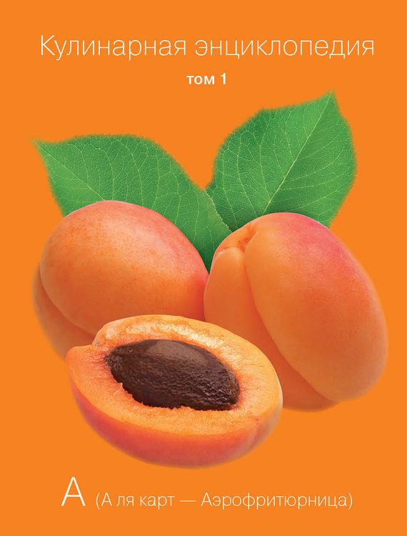 Обложка книги «Кулинарная энциклопедия. Том 1. А (А ля карт – Аэрофритюрница)»