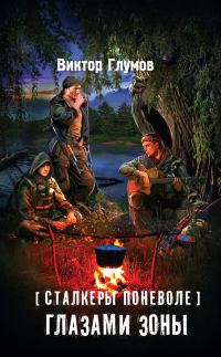 Обложка книги «Глазами Зоны»