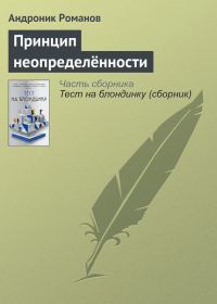 Обложка книги «Принцип неопределённости»