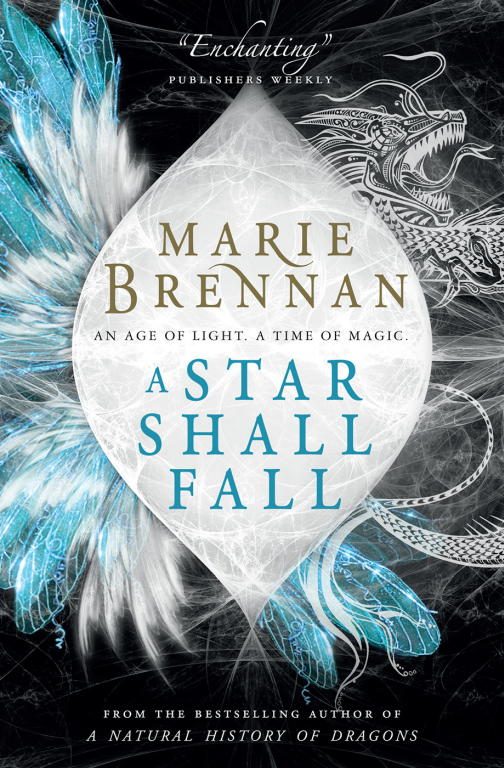 Обложка книги «A Star Shall Fall»