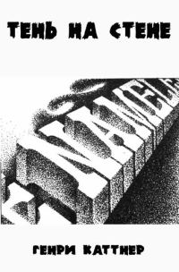 Обложка книги «Тень на стене»