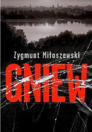 Обложка книги «Ярость»