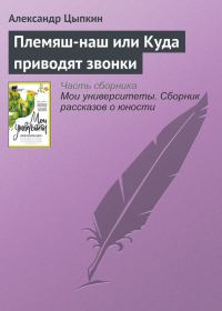 Обложка книги «Племяш-наш или Куда приводят звонки»