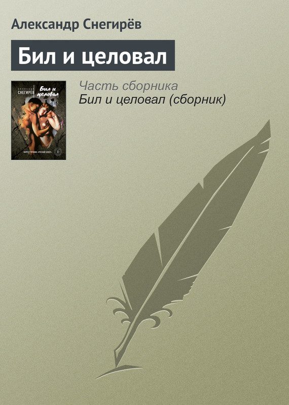 Обложка книги «Бил и целовал»