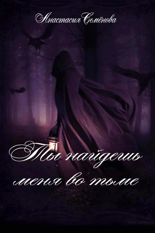 Обложка книги «Ты найдёшь меня во тьме»