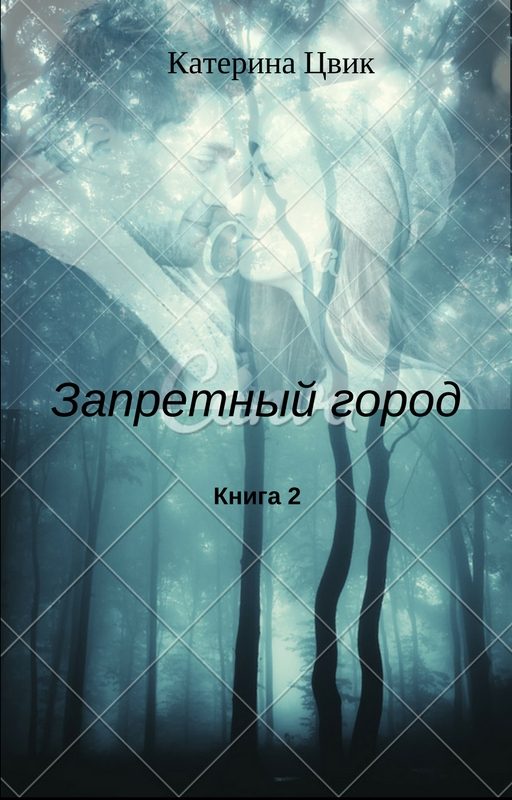 Обложка книги «Запретный город 2»