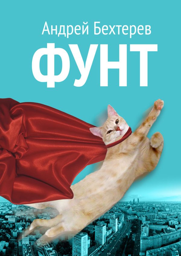 Обложка книги «Фунт»