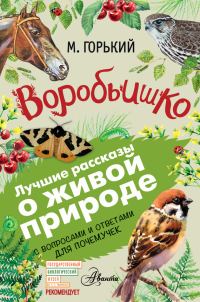Обложка книги «Воробьишко»