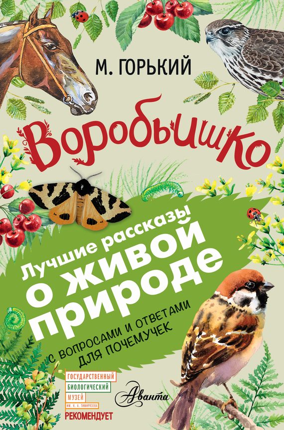 Обложка книги «Воробьишко»