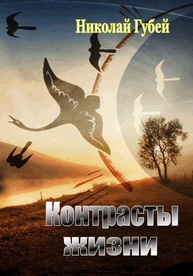Обложка книги «Контрасты жизни»